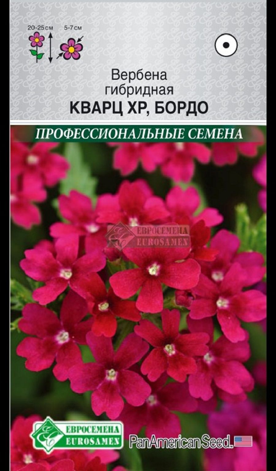 Вербена Профессиональные Семена Купить Оптом