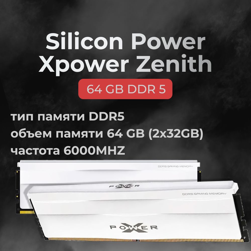 SiliconPowerОперативнаяпамятьSP064GXLWU600FDG2x32ГБ(SP064GXLWU600FDG)