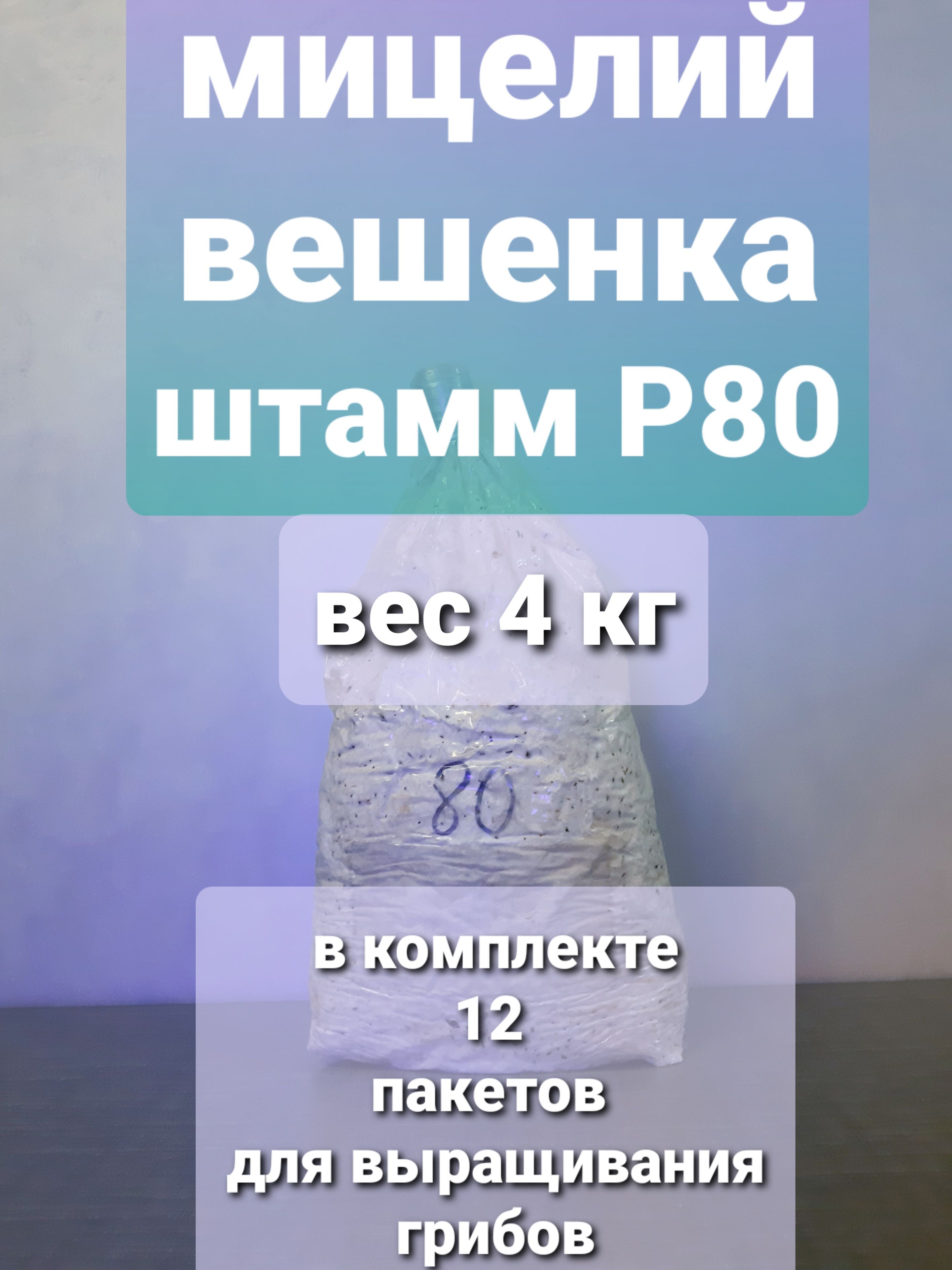 Мицелий зерновой гриб ВЕШЕНКА штамм Р 80, вес 4 кг