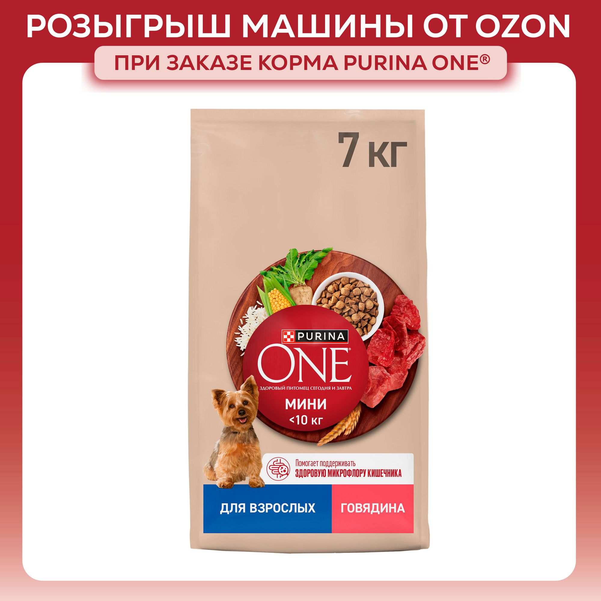 Сухой корм для собак PURINA ONE МИНИ для мелких и карликовых пород, с говядиной и рисом, 7 кг