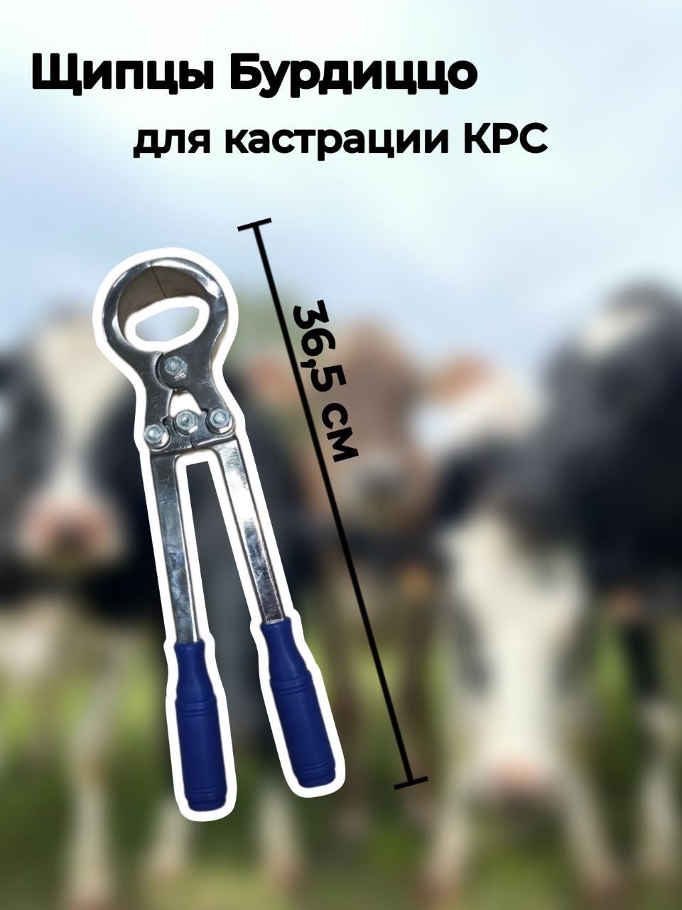 Щипцы Бурдиццо кастрационные КРС