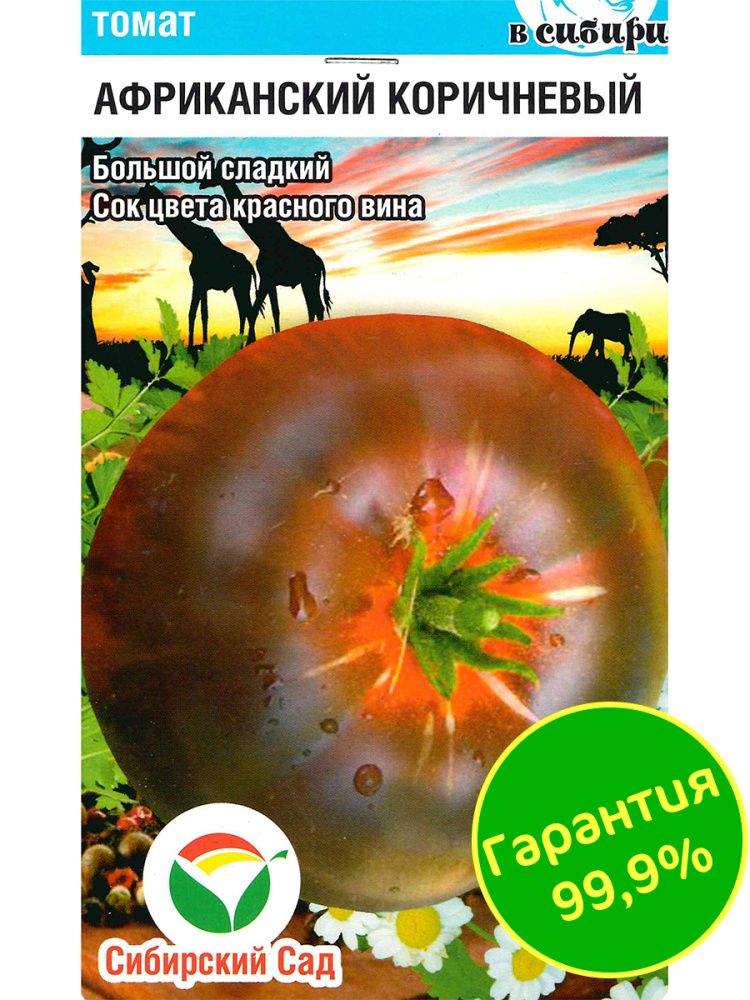 Томат Африканский коричневый(图3)
