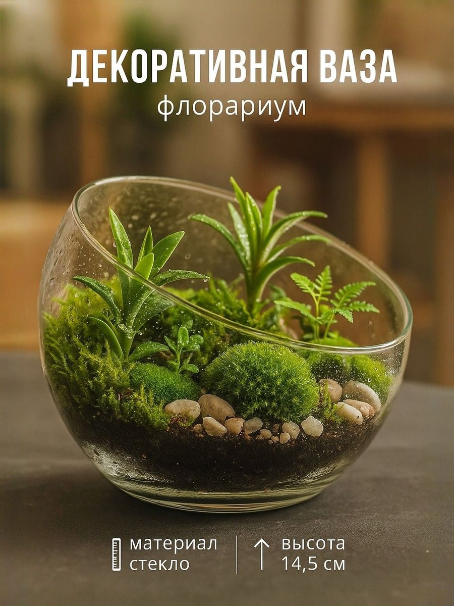 Ваза для цветов, флорариум, стеклянная / 1,5 л Анабель 14,5х19 Evis / ваза для сухоцветов прозрачная