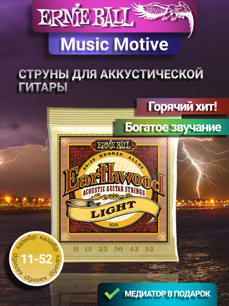 Струны для акустической гитары ERNIE BALL 2004 Earthwood - купить с ...