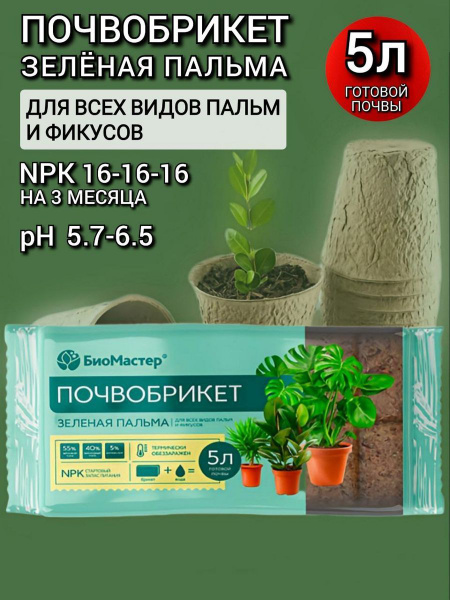 Биомастер Почвобрикет Зеленая пальма 5л. - купить по низкой цене в ...