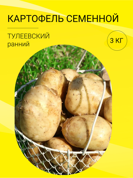 Картофель картофель на посадку 3 кг - купить по выгодным ценам в ...