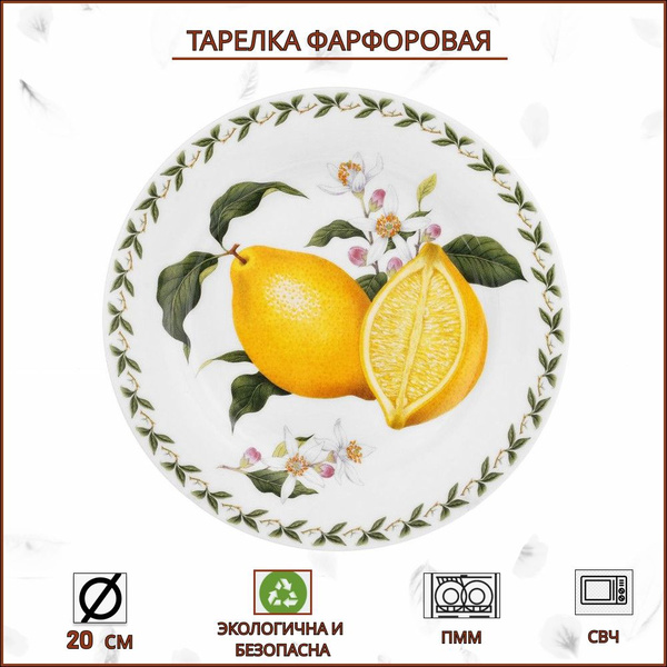 Тарелка Maxwell & Williams, Фарфор, диаметр 20 см - купить по низким ...
