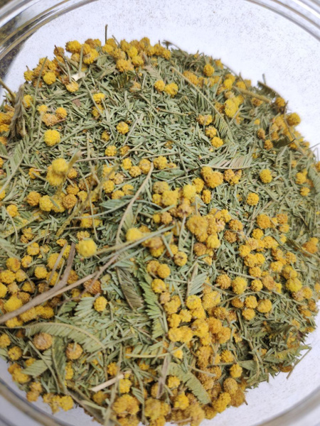 Сухоцветы Мимоза Абхазская, Мимоза купить по выгодной цене в интернет ...