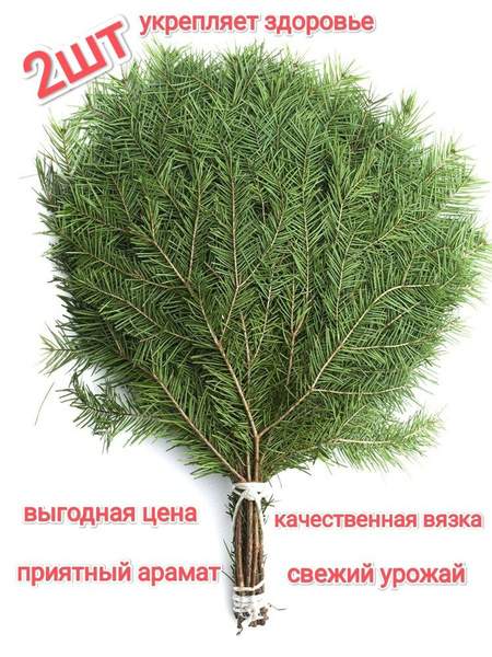 набор пихтовых веников 2шт - Веник для бани, купить в интернет-магазине ...