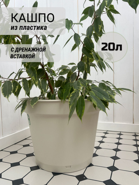 Горшок для цветов, кашпо 20л - купить с доставкой по выгодным ценам в ...