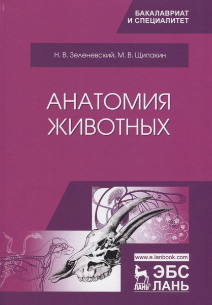 Анатомия животных. Учебник - купить с доставкой по выгодным ценам в ...