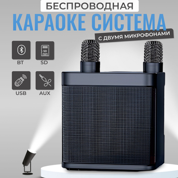 Караоке система профессиональная, черная, 2 микрофона - купить с ...