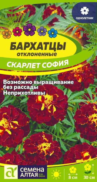 Бархатцы Семена Алтая Бархатцы - купить по выгодным ценам в интернет ...