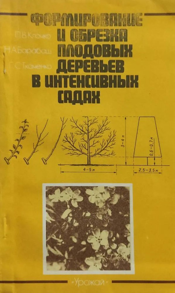 Формирование и обрезка плодовых деревьев в интенсивных садах | Клочко А ...