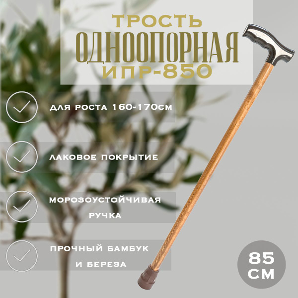 Трость деревянная с пластмассовой ручкой - купить с доставкой по ...