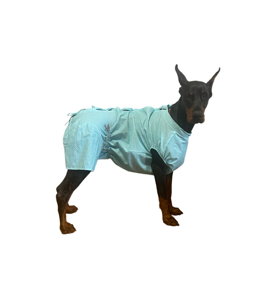 Послеоперационная попона для кобеля - купить с доставкой по выгодным ...