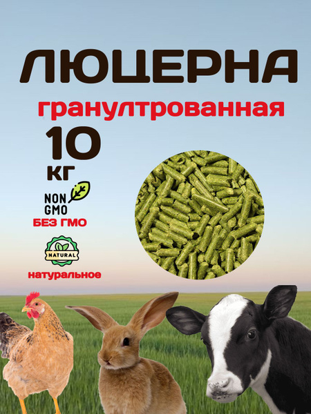 Люцерна гранулированная - купить с доставкой по выгодным ценам в ...