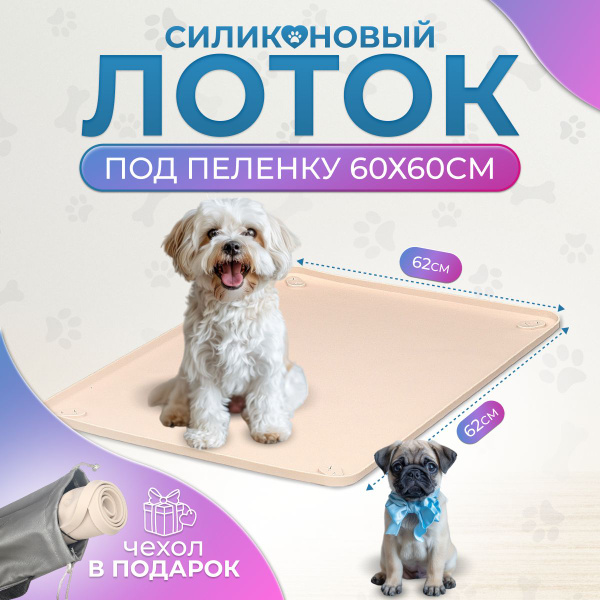 Лоток для собак мелких пород купить на OZON по низкой цене (1580941837)