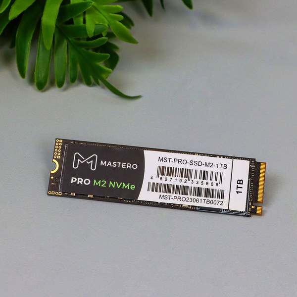 1 ТБ Внутренний SSD-диск MASTERO MST-PRO-SSD-M2 (MST-PRO-SSD-M2-1TB ...