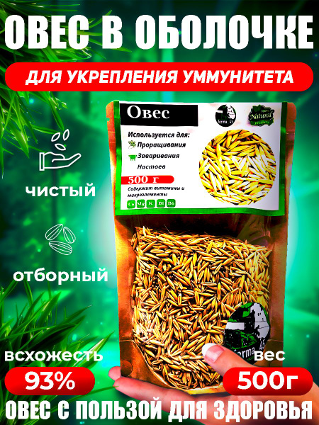 Овес для проращивания заваривания и настоев 500 купить на OZON по ...