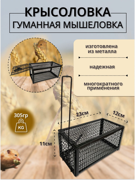 Крысоловка - купить с доставкой по выгодным ценам в интернет-магазине ...