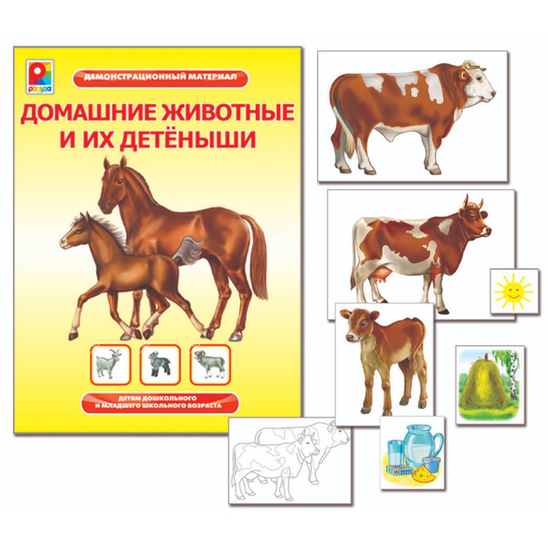 Животные домашние и их детеныши