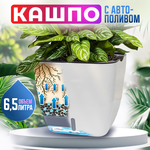 Кашпо с автополивом - купить с доставкой по выгодным ценам в интернет ...