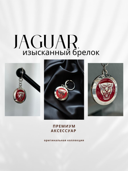 Брелок для ключей Ягуар купить на OZON по низкой цене (1082188134)
