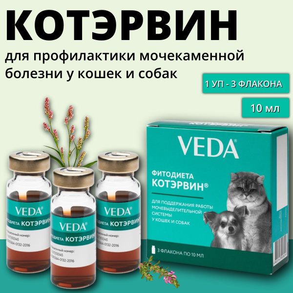 Купить котэрвин для кошек