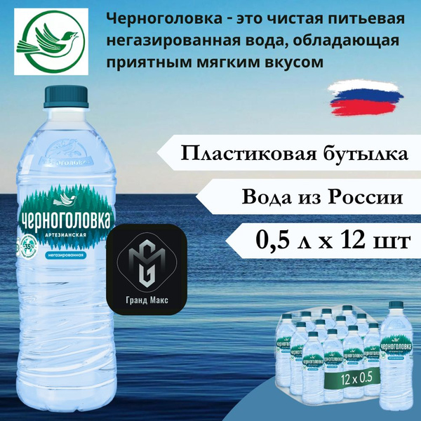 Вода артезианская Черноголовка, негазированная, 0,5 л х 12 бутылок, пэт ...