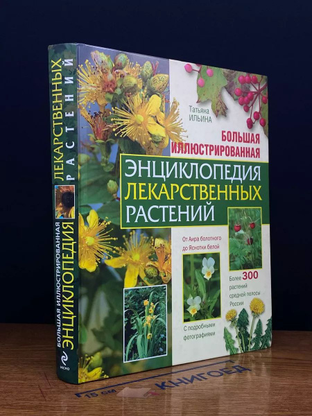 Большая иллюстрированная энциклопедия лекарственных растений - купить с ...