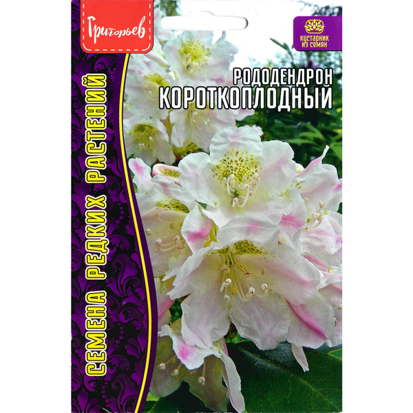 Рододендроны Григорьев короткоплодный - купить по выгодным ценам в ...