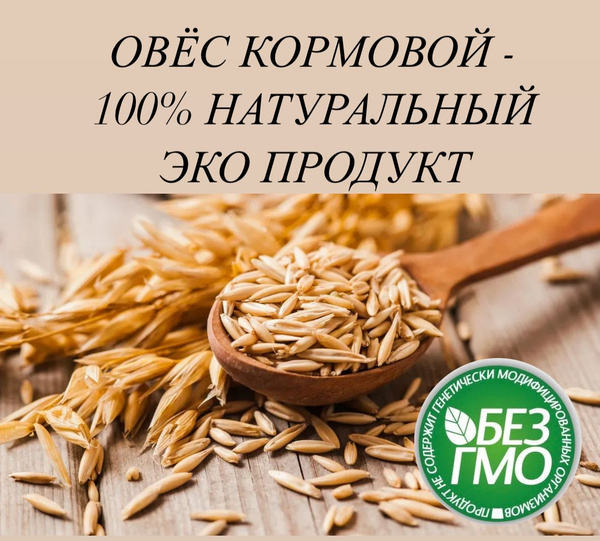 15 кг Овес кормовой - ЭКО продукт - купить с доставкой по выгодным ...