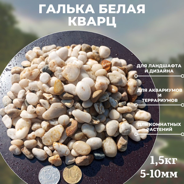 Галька белая 1,5 кг кварц 5-10 мм для аквариума и террариума - купить с ...