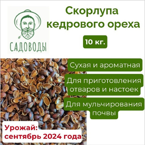 Скорлупа кедрового ореха, Садоводы, 10 кг купить на OZON по низкой цене ...