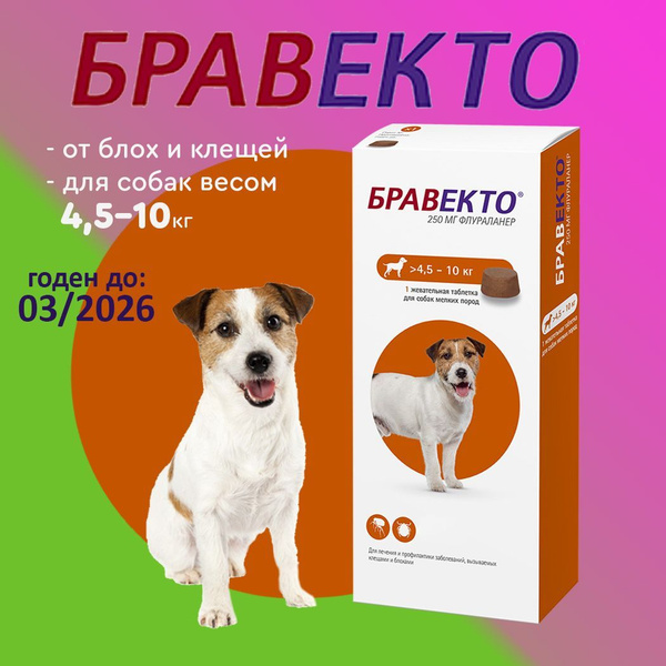 Бравекто (Bravecto) 4.5-10 кг,таблетка 250 мг (03.2026) купить на OZON ...