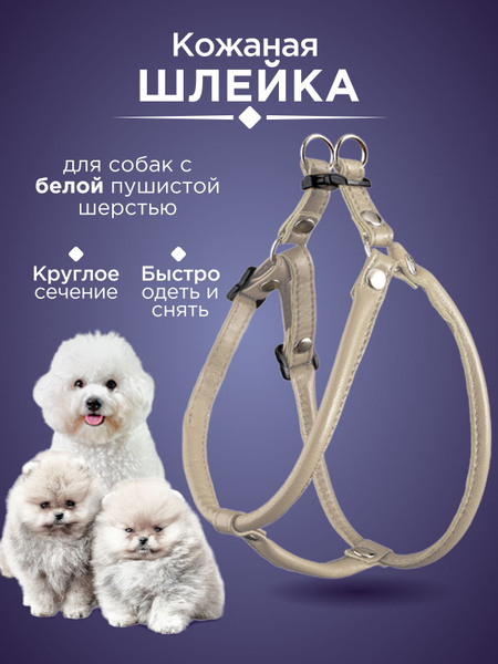 Шлейка для шпица круглая кожаная, шлейка для пушистых белых собак ...