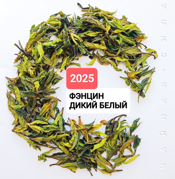 Дикий Белый из Фэнцин, белый чай, 2025 г, 100 гр, Юньнань. Настоящий ...
