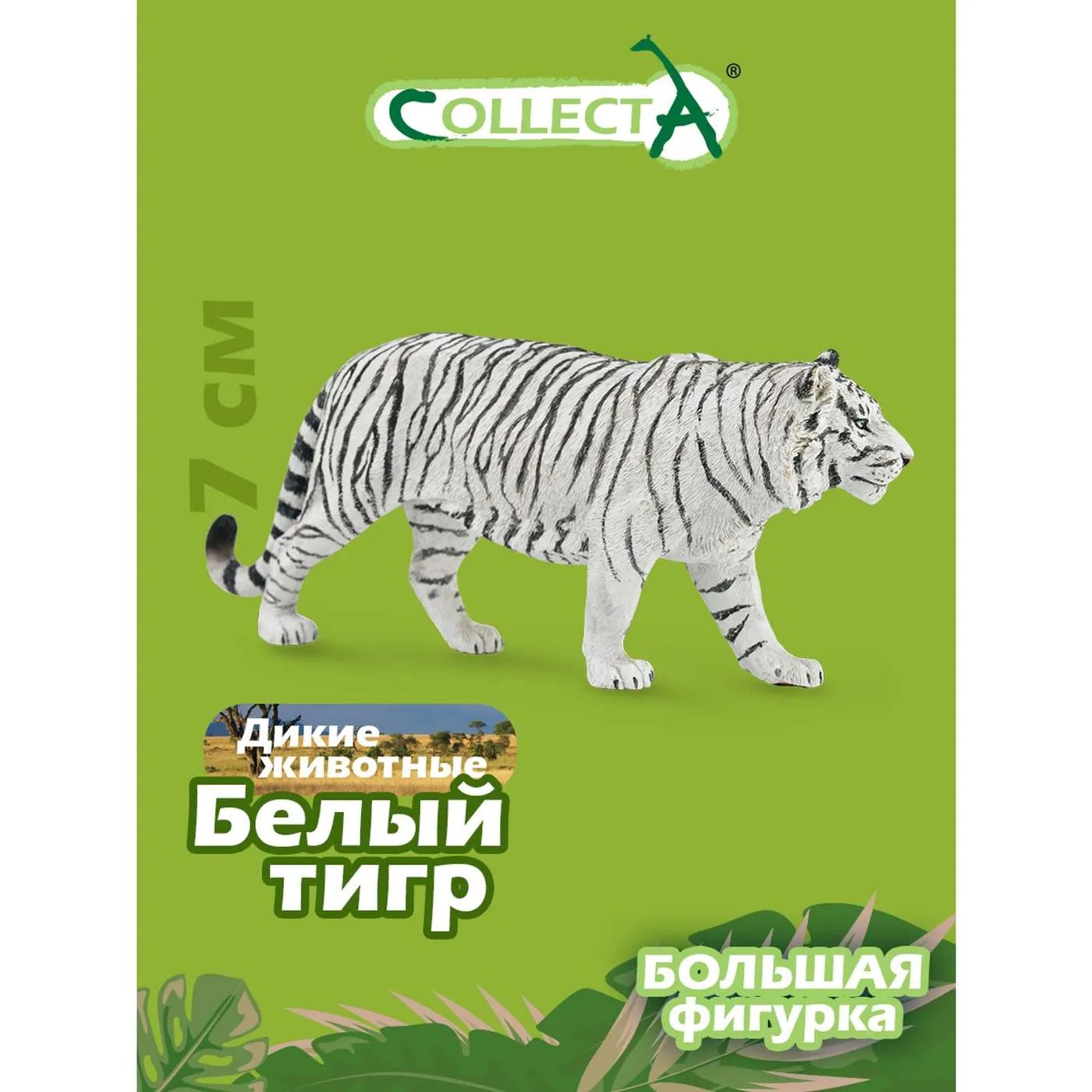 Игрушка Collecta Белый тигр фигурка животного - купить с доставкой по  выгодным ценам в интернет-магазине OZON (1472552396)