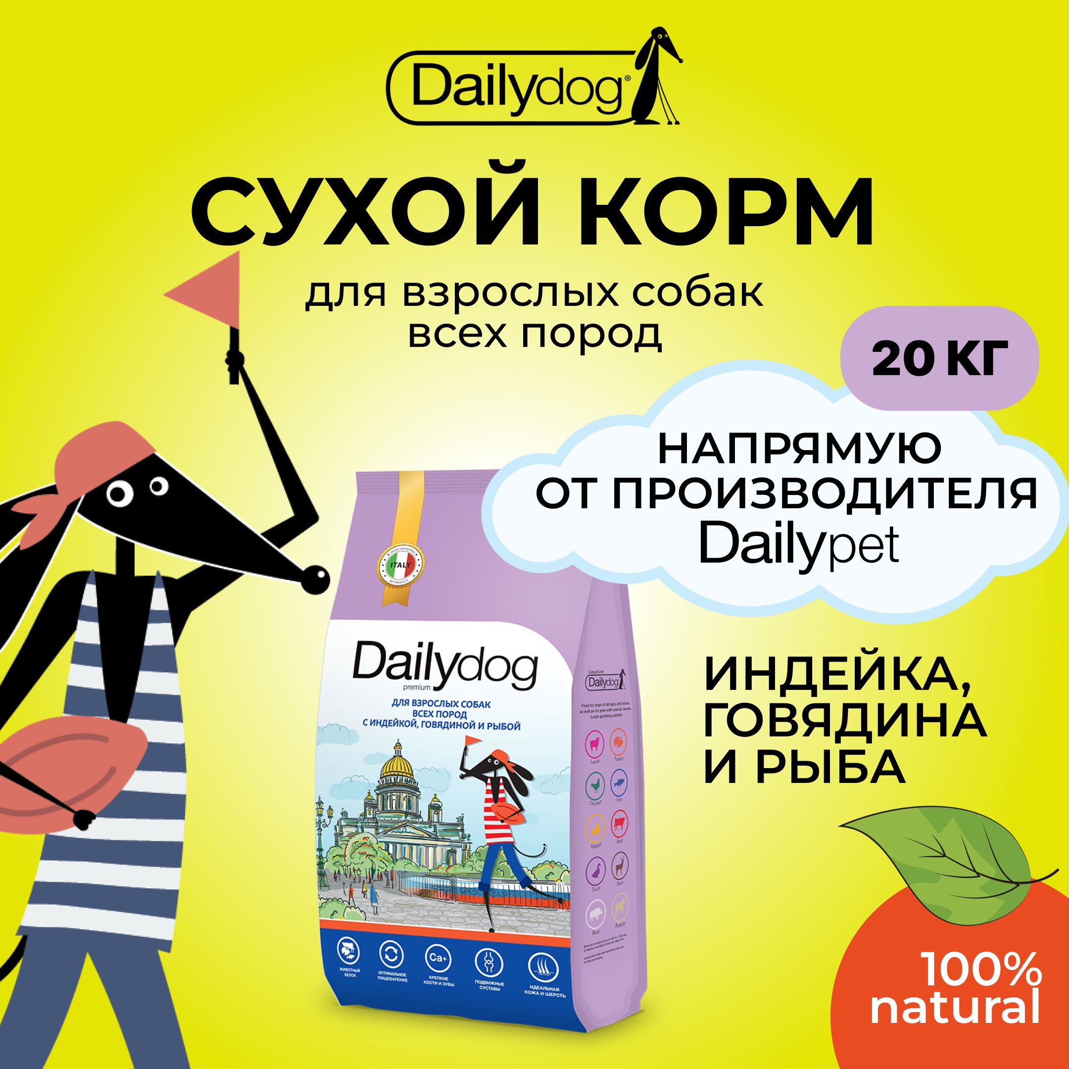 СухиекормадлясобакDailydog