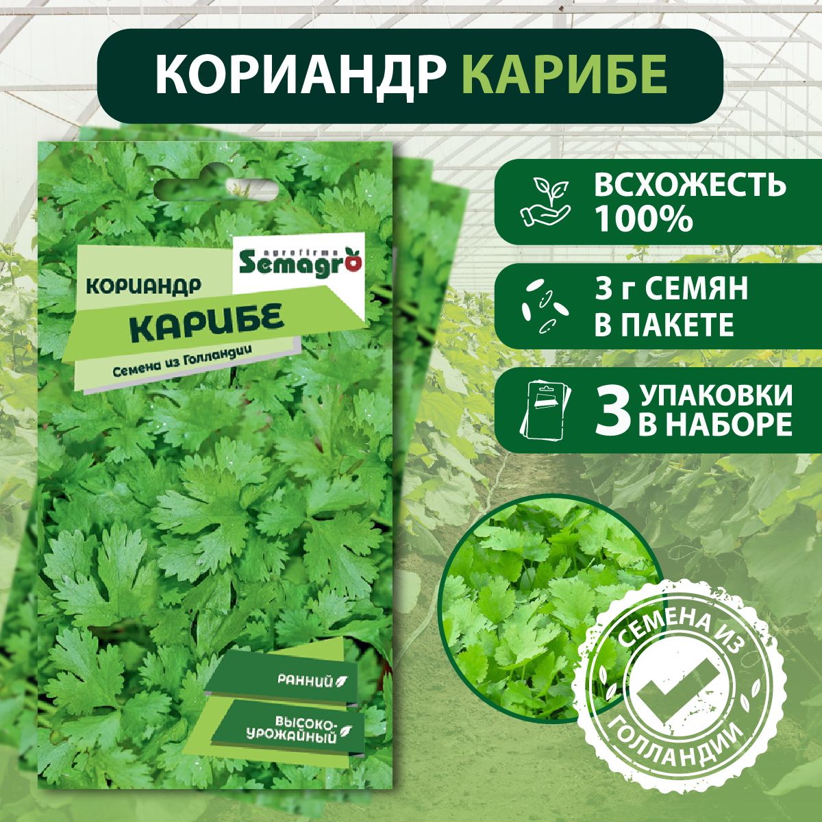 Кориандр Seminis овощи_3_Семена Кориандр Карибе , 3 пакета, 3 г в одном  пакете - купить по выгодным ценам в интернет-магазине OZON (1387132114)