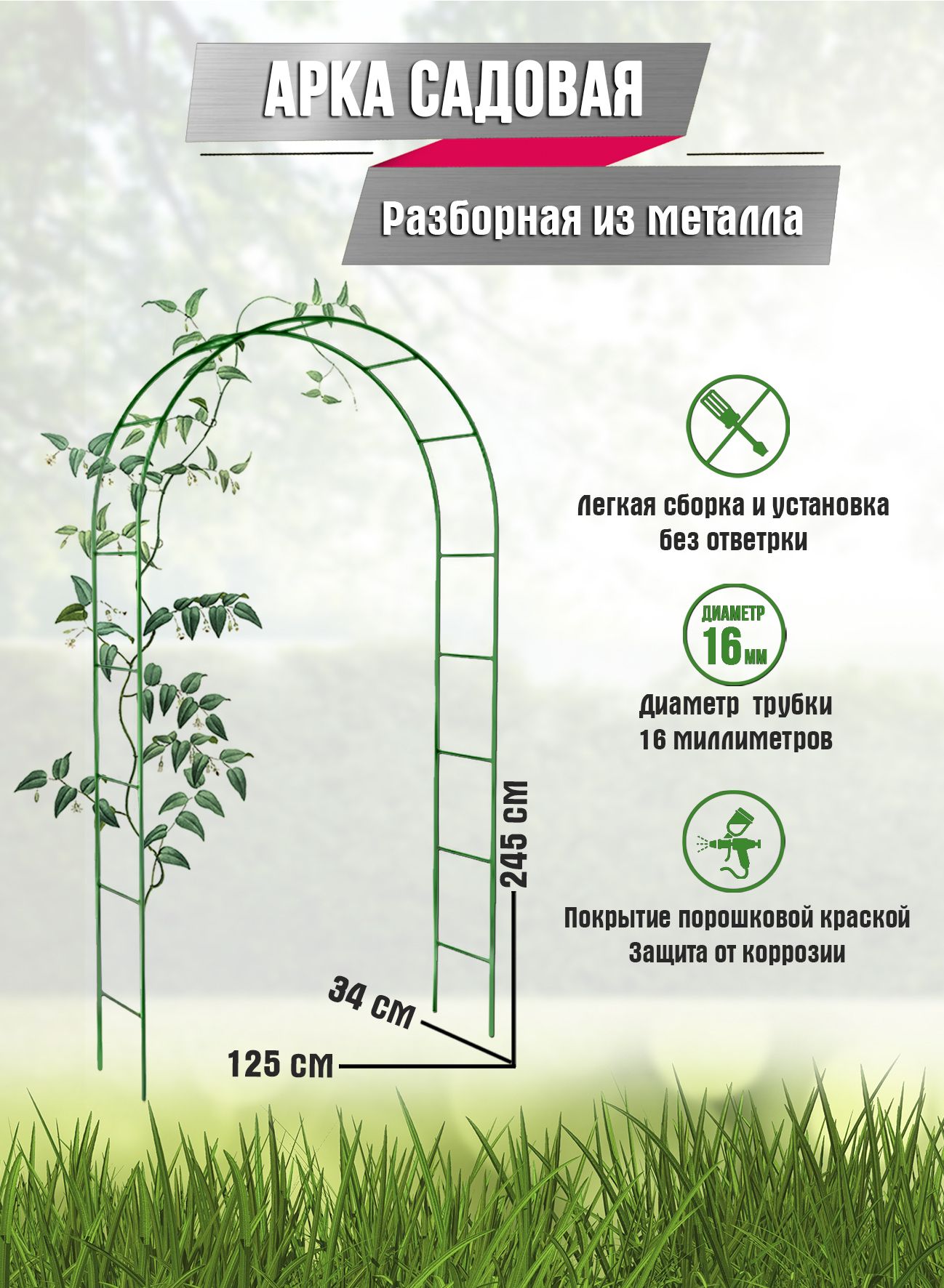 Как выбрать материал и растения для арок. Советы от ландшафтного дизайнера