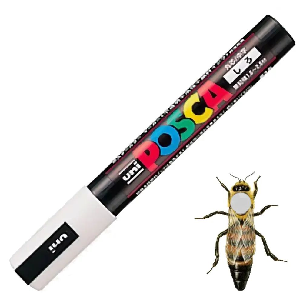 Маркер для метки пчелиных маток. Маркер для маток пчел. Маркер для пчеломаток. Маркеры по цветам для маток. Маркер для маток пчел.