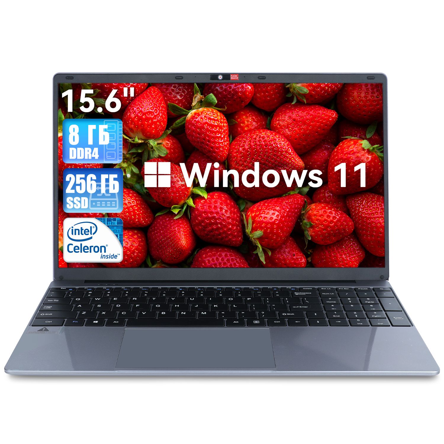 ZynexLaptopНоутбук15.6",IntelCeleronN5095,RAM8ГБ,SSD,WindowsHome,серый,Русскаяраскладка