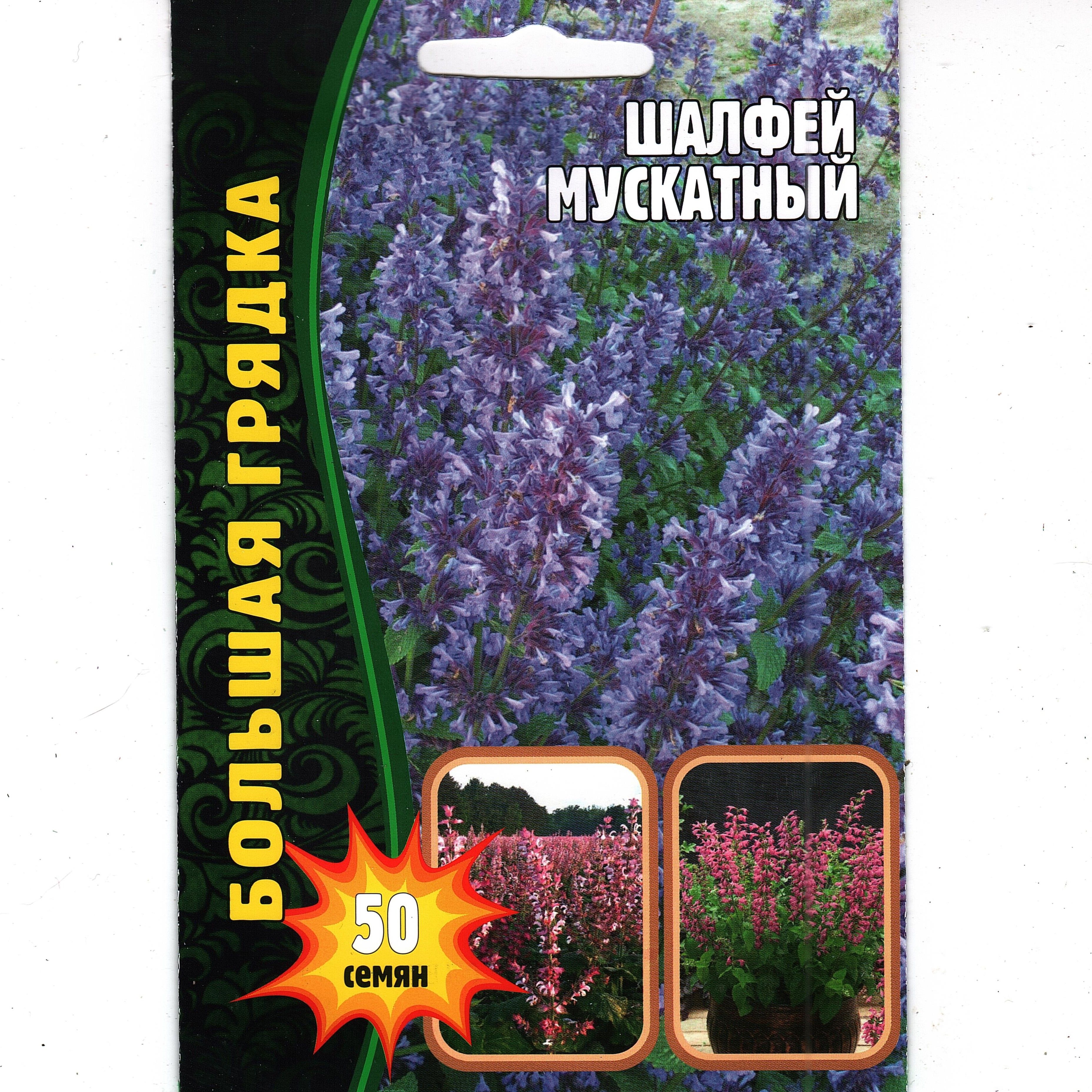 Шалфей Семенами Цена