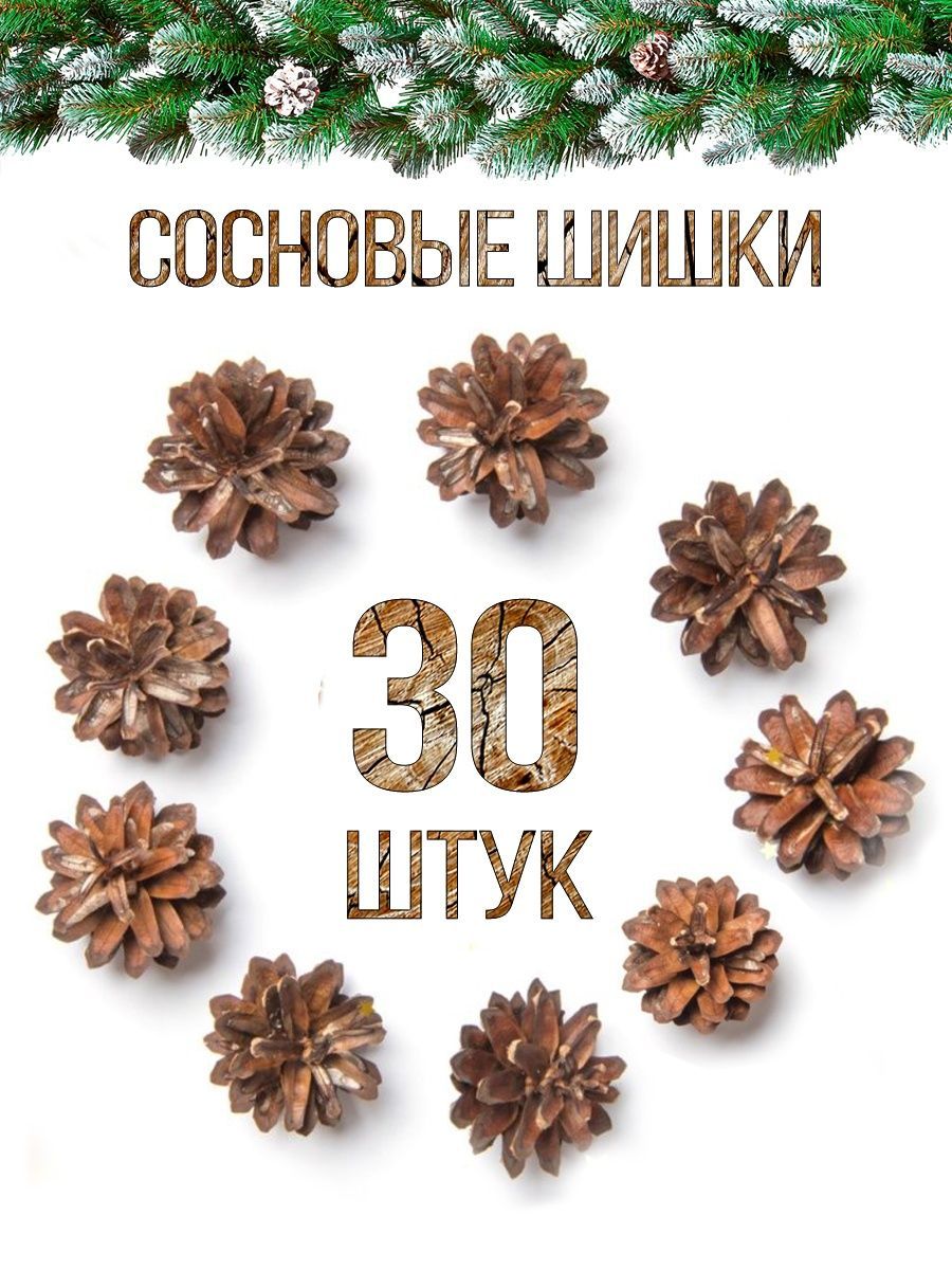 Шишки для поделок, рукоделия Набор шишек: 30 шт, шишки сосновые для декора,  для самовара, заготовка для поделок, набор для творчества, ёлочные ...