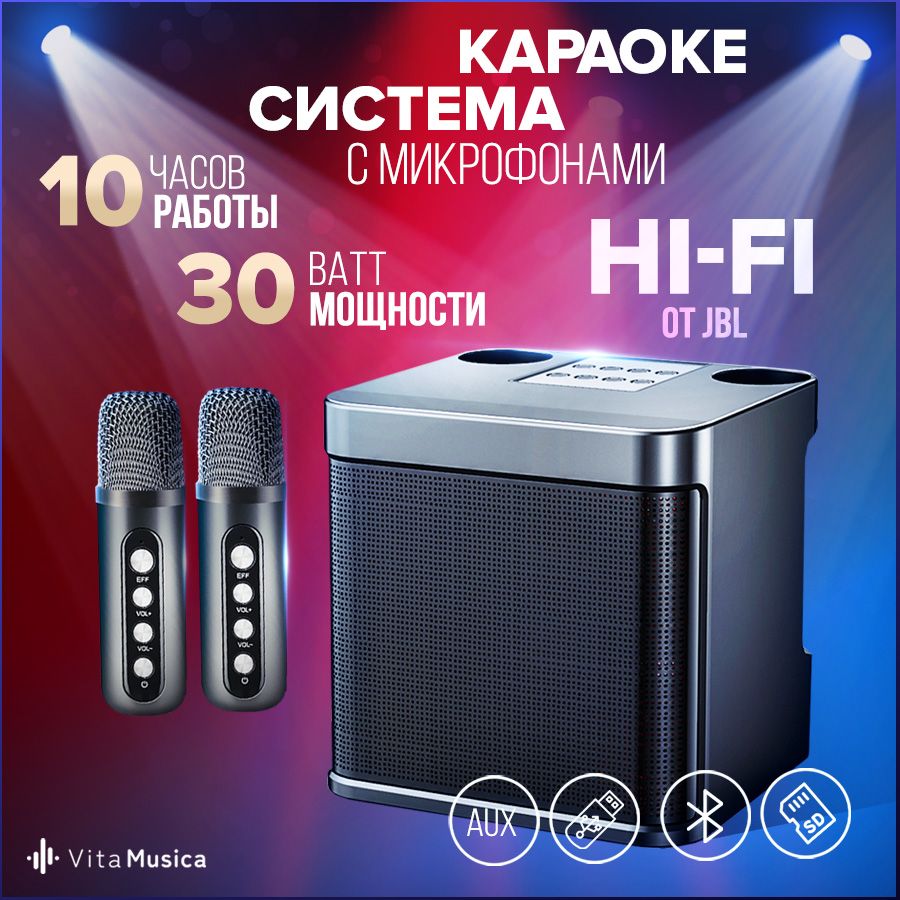 Караоке система для дома с двумя микрофонами Vita Musica