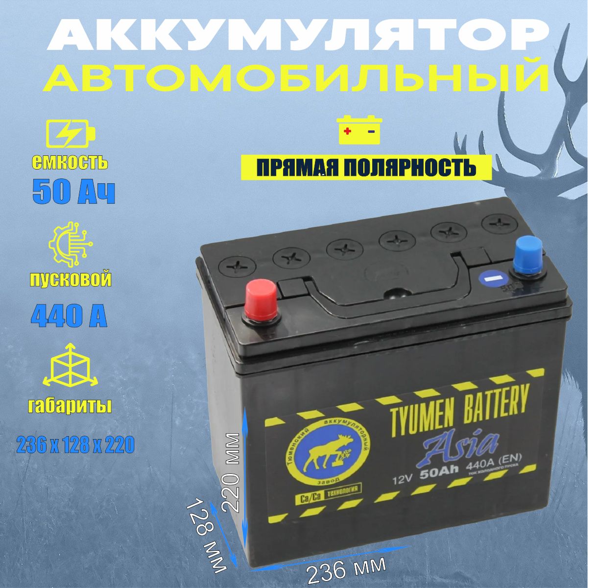 Аккумулятор Тюмень Купить В Туле