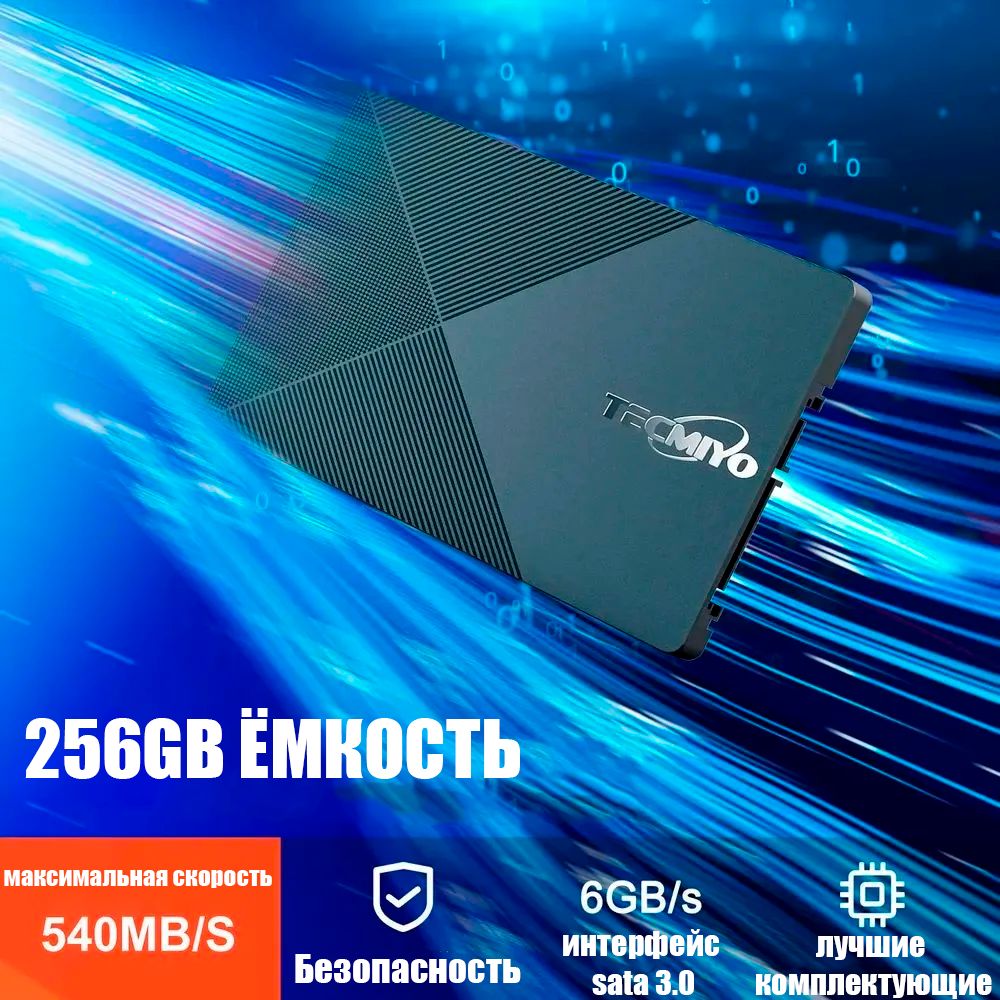 TECMIYO 256 ГБ Внутренний SSD-диск TECMIO (SSD256)