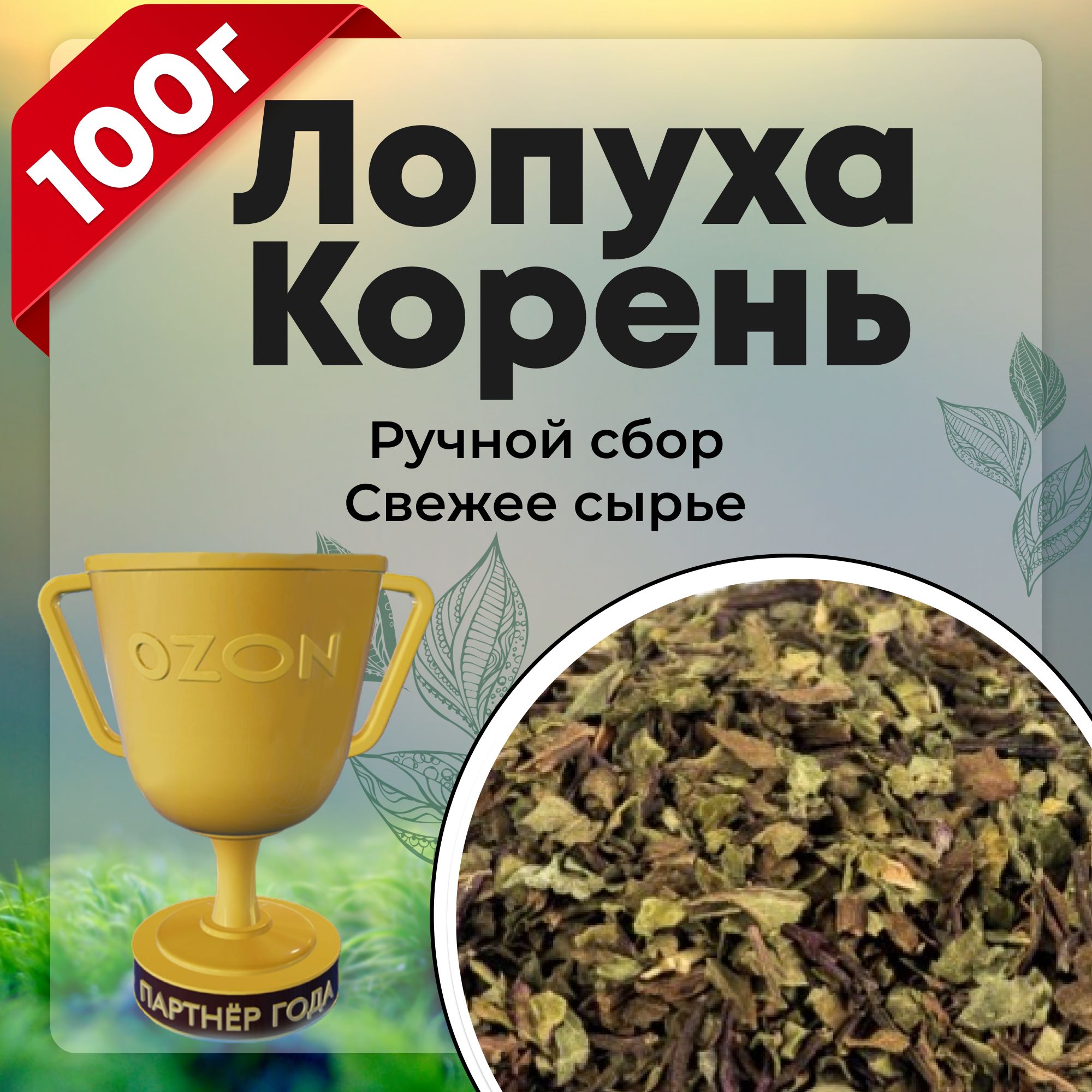 Корень лопуха (резаный), репейник, 100 гр. - купить с доставкой по выгодным  ценам в интернет-магазине OZON (729656245)